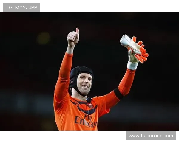 切赫与范德萨的巅峰对决谁才是门将之王的传奇传承者